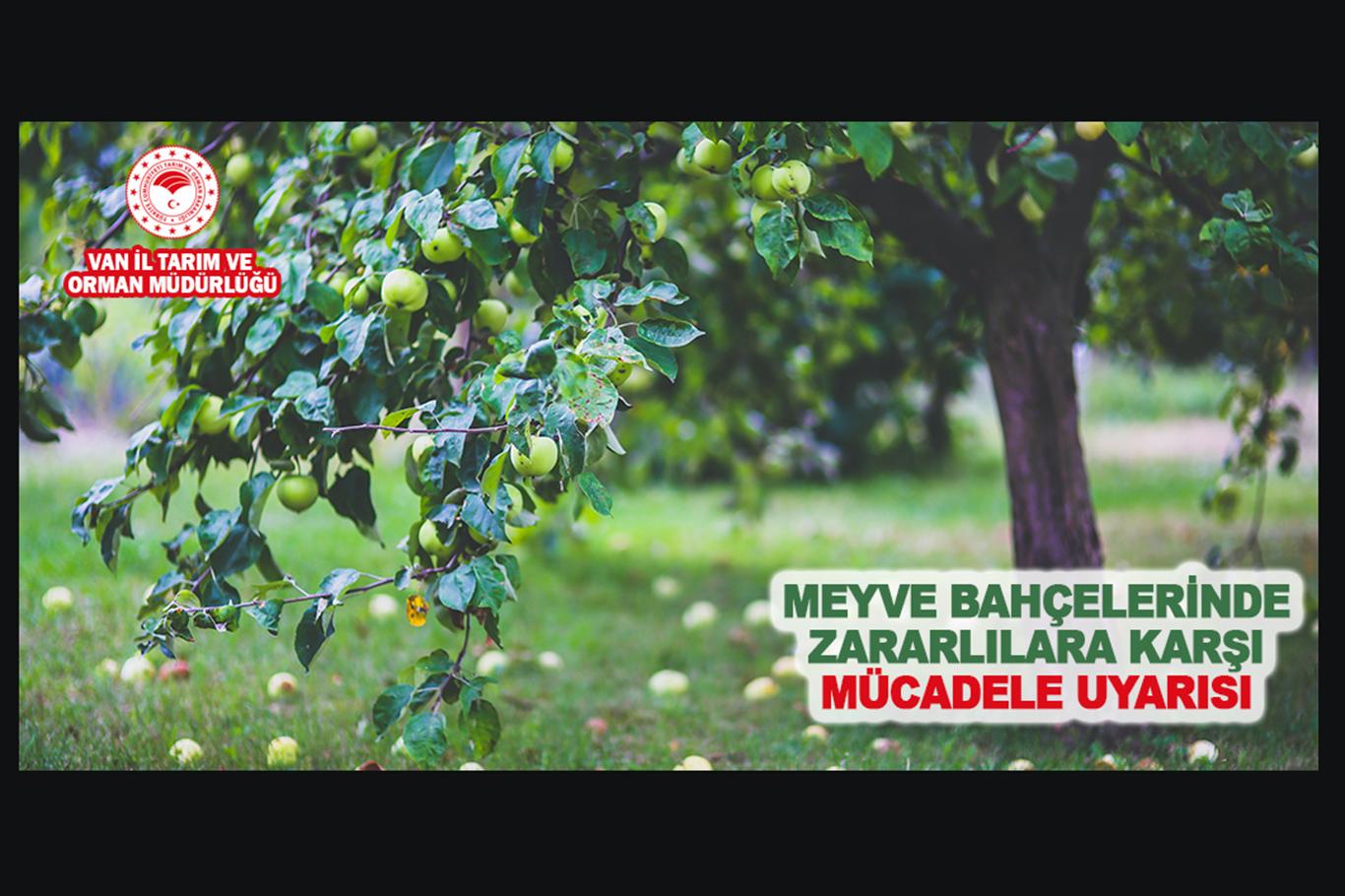 Meyve bahçelerinde zararlılara karşı mücadele uyarısı Meyve bahçelerinde zararlılara karşı mücadele uyarısı